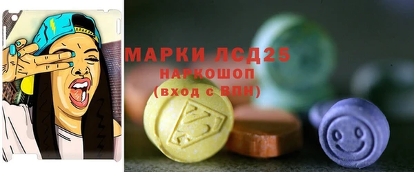 прущие грибы Абинск