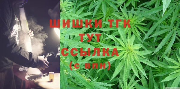 винт Абаза