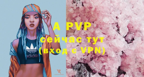винт Абаза
