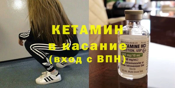 прущие грибы Абинск