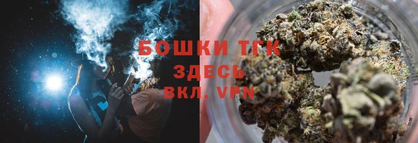 прущие грибы Абинск